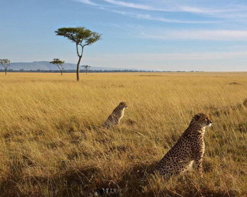 Narok Branch