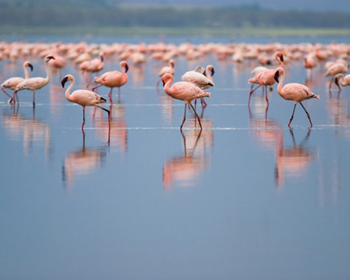 Nakuru Branch